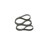 Correa poly V BOSCH 1 987 945 708