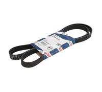 Correa trapezoidal acanalada 1 987 945 984 BOSCH para BMW KIA MITSUBISHI HYUNDAI