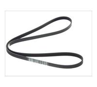 Correa poly V BOSCH 1 987 946 236