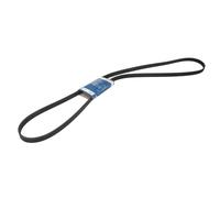 Correa poly V BOSCH 1 987 946 281