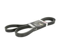 Correa poly V BOSCH 1 987 946 285