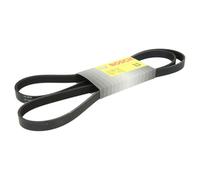 Correa poly V BOSCH 1 987 946 292