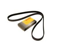 Correa poly V BOSCH 1 987 947 871