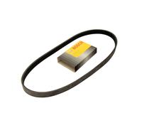 Correa poly V BOSCH 1 987 948 440