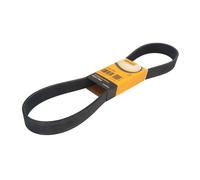 Correa poly V CONTINENTAL 10PK1070