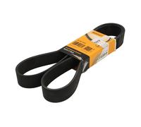 Correa poly V CONTINENTAL 10PK1512