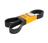 Correa poly V CONTINENTAL 10PK1545