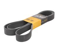 Correa poly V CONTINENTAL 10PK2475