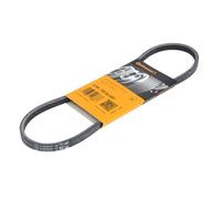 Correa poly V CONTINENTAL 3PK725 ELAST