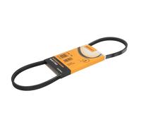 Correa poly V CONTINENTAL 3PK775
