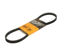 Correa poly V CONTINENTAL 4PK819 ELAST