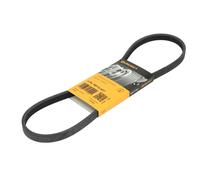 Correa poly V CONTINENTAL 4PK885 ELAST