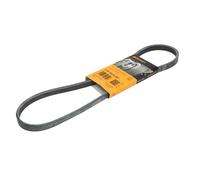 Correa poly V CONTINENTAL 4PK924 ELAST