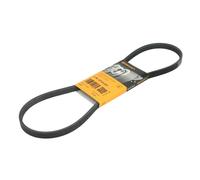 Correa poly V CONTINENTAL 4PK970 ELAST