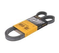 Correa poly V CONTINENTAL 5PK1166 EXTRA