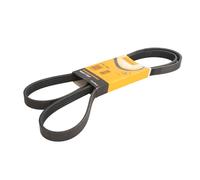 Correa poly V CONTINENTAL 5PK1690