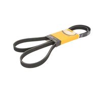 Correa poly V CONTINENTAL 5PK1840