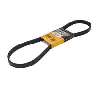 Correa poly V CONTINENTAL 6 PK 1102 EXTRA