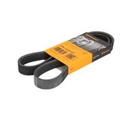 Correa poly V CONTINENTAL 6 PK 1124 ELAST