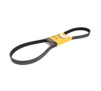 Correa poly V CONTINENTAL 6PK1240 ELAST