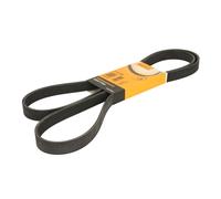 Correa poly V CONTINENTAL 6PK1880