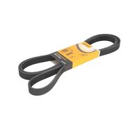 CONTITECH 6PK2460 Correa