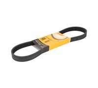Correa poly V CONTINENTAL 6PK848 ELAST