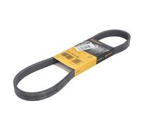 Correa poly V CONTINENTAL 6PK852 ELAST