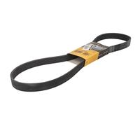 Correa poly V CONTINENTAL 7 PK 1196 EXTRA