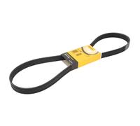 Correa poly V CONTINENTAL 7PK1260