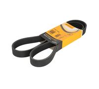 Correa poly V CONTINENTAL 7PK1325