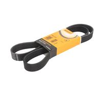 Correa poly V CONTINENTAL 7PK1377