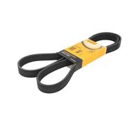 CONTITECH 7PK1647 Correa trapecial poli V