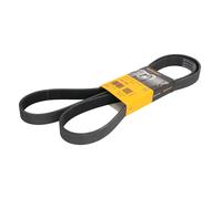 Correa poly V CONTINENTAL 7PK1795