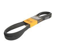 Correa poly V CONTINENTAL 7PK2090
