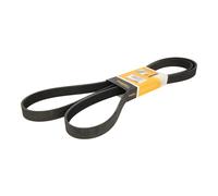 Correa poly V CONTINENTAL 7PK2120