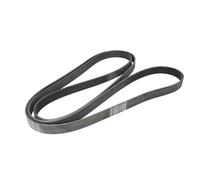 Correa poly V CONTINENTAL 7PK2967