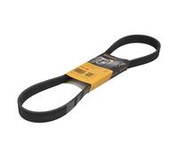 Correa poly V CONTINENTAL 7PK990