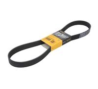 Correa poly V CONTINENTAL 8PK1162 EXTRA