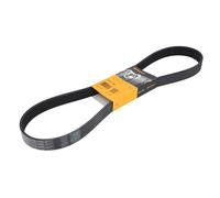 CONTITECH 8PK1165 Correa trapecial poli V