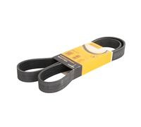 Correa poly V CONTINENTAL 8PK1371