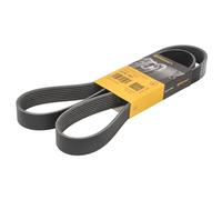 Correa poly V CONTINENTAL 8PK1427