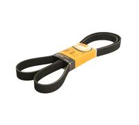 Correa poly V CONTINENTAL 8PK2020