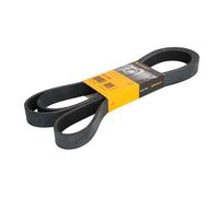 Correa poly V CONTINENTAL 8PK2546