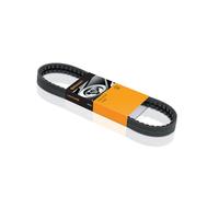 Correa poly V CONTINENTAL AVX10X730