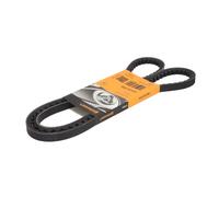 Correa poly V CONTINENTAL AVX13X1350