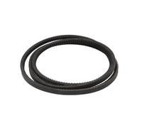 Correa poly V CONTINENTAL AVX13X2125
