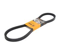 Correa poly V CONTINENTAL AVX17X1055
