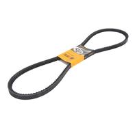 Correa poly V CONTINENTAL AVX17X1500