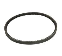 Correa poly V CONTINENTAL AVX17X950